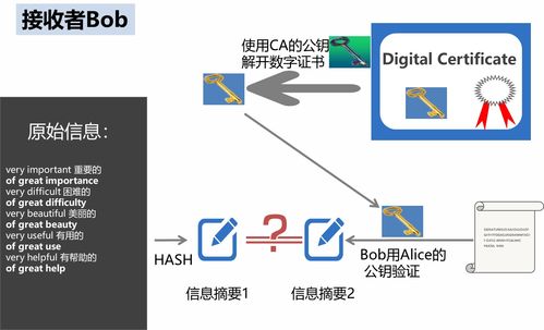 虚拟私有网